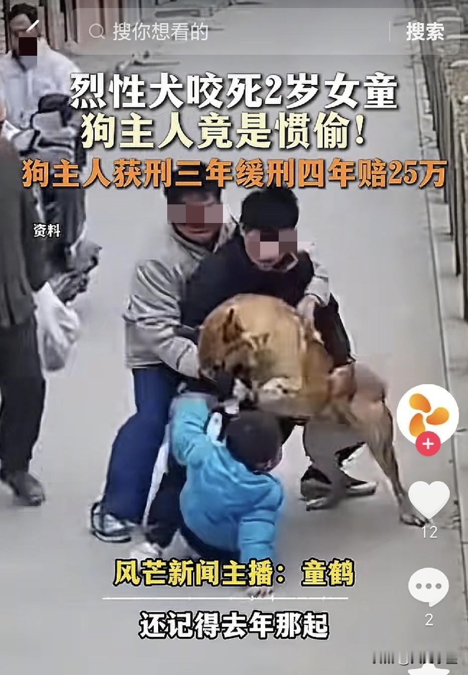 河南汝州，被烈性犬咬死的2岁女孩案子判了！涉事狗主人毛某因过失致人死亡，被判三缓