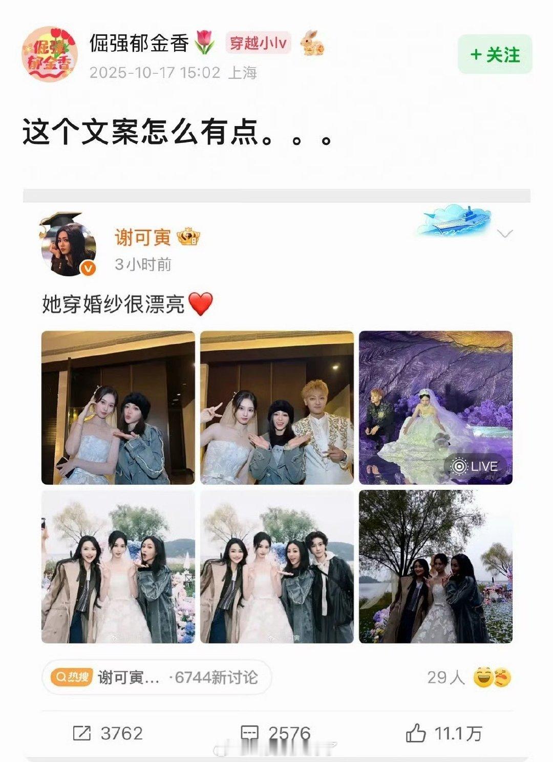 谢可寅的文案被网友解读了哈哈哈哈你还真别说谢可寅她穿婚纱很