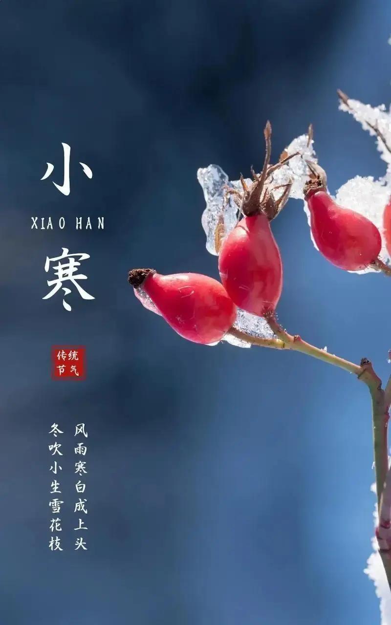 2025年小寒当天全国大晴天，微博热搜蹦出老话“小寒一日晴，三九难见冰”我老家河