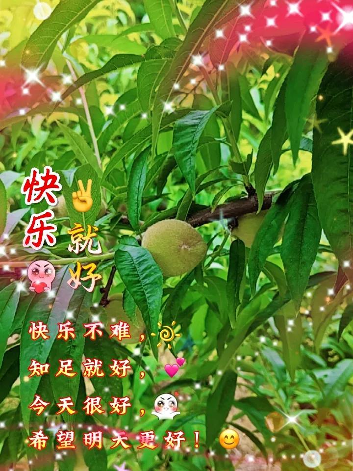 桃子