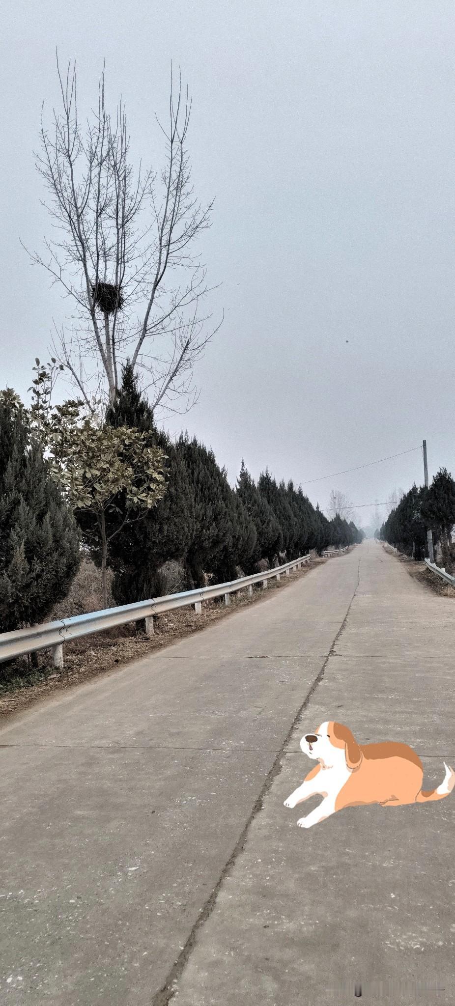 刚从五金店买了根软管，手都冻得发红了。这天真冷，哈气都能看见白雾。我缩着