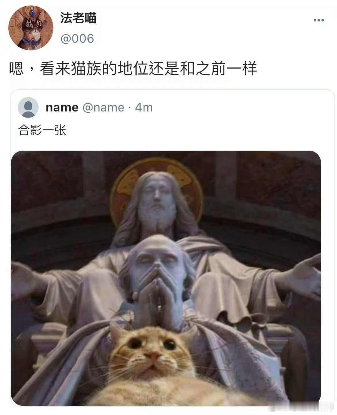 假如小动物们都上网特别萌的一个系列🥺假如小动物们都上网belike：©️布
