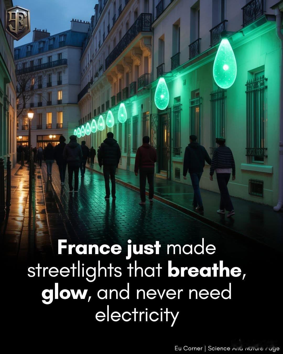 法国研发出利用活藻发光的生物发光路灯在图卢兹市中心，法国科学家们研发出一种无