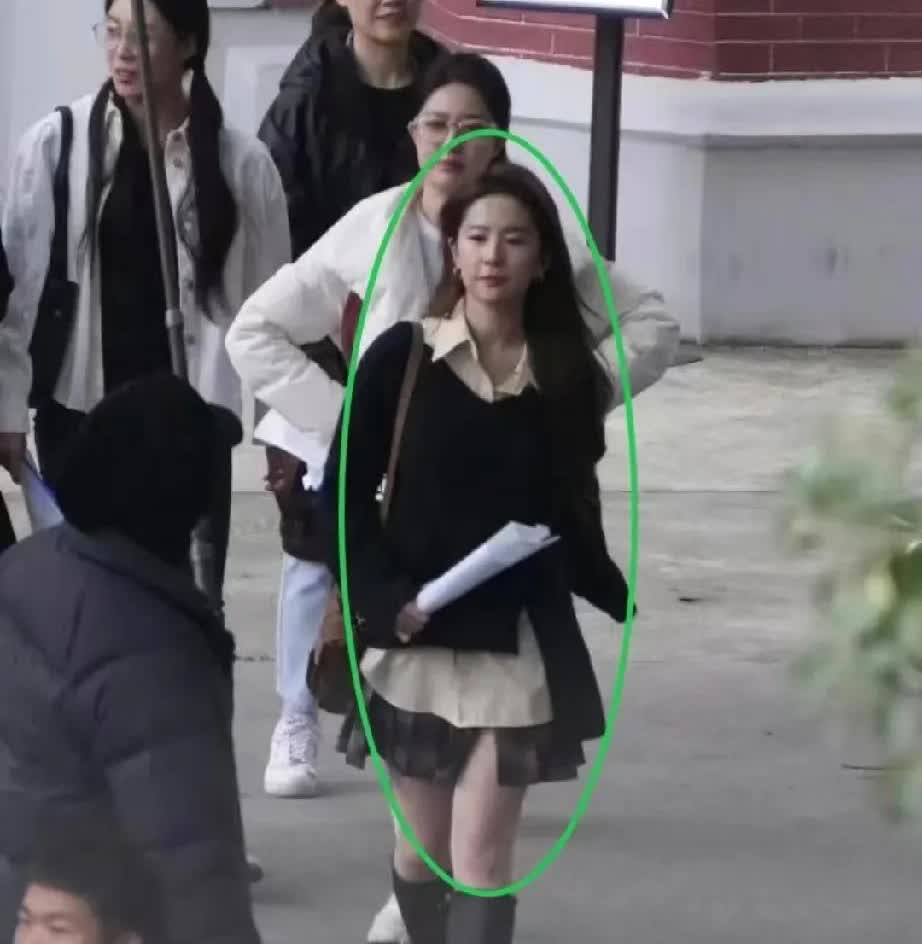 不是，刘亦菲长这样？