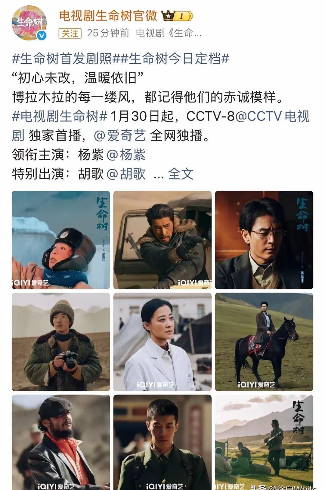 正午阳光也翻车？《生命树》定档海报被指“模糊C位”，杨紫到底是不是一番？官宣海报