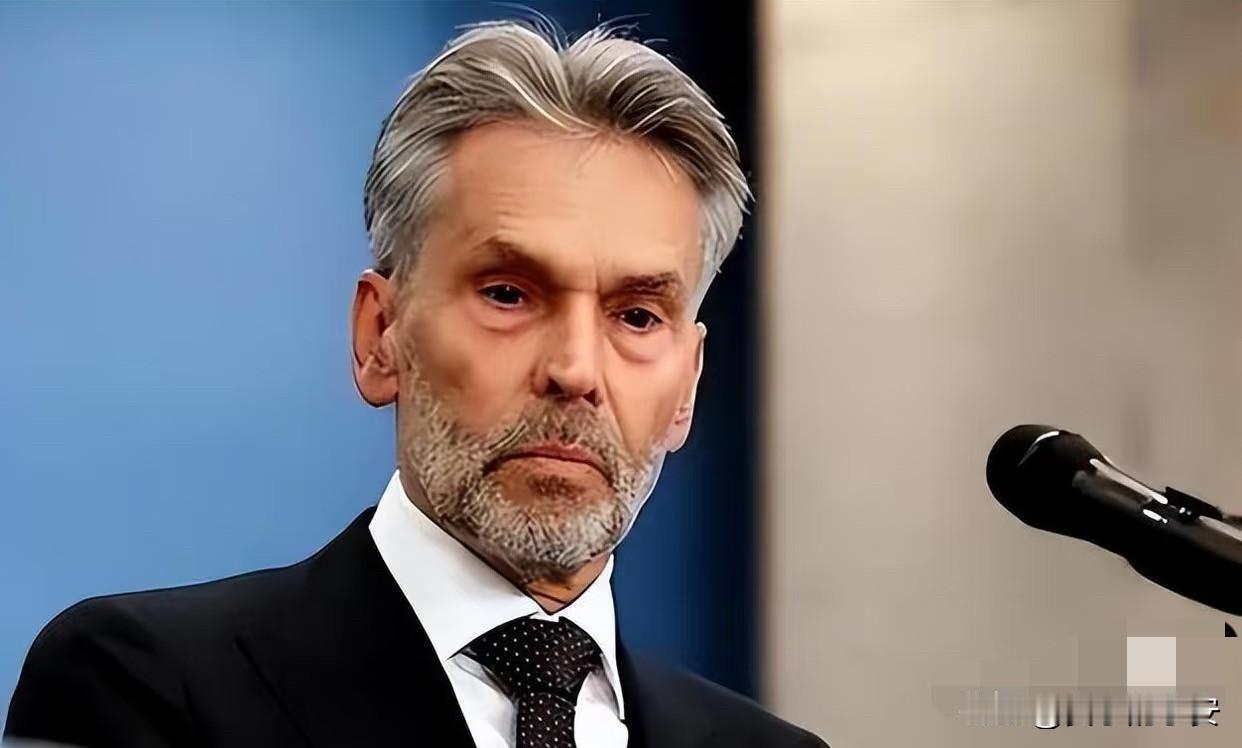 快讯！快讯！​荷兰又出新招！​中国：你敢禁售，我就突围！​2025年1