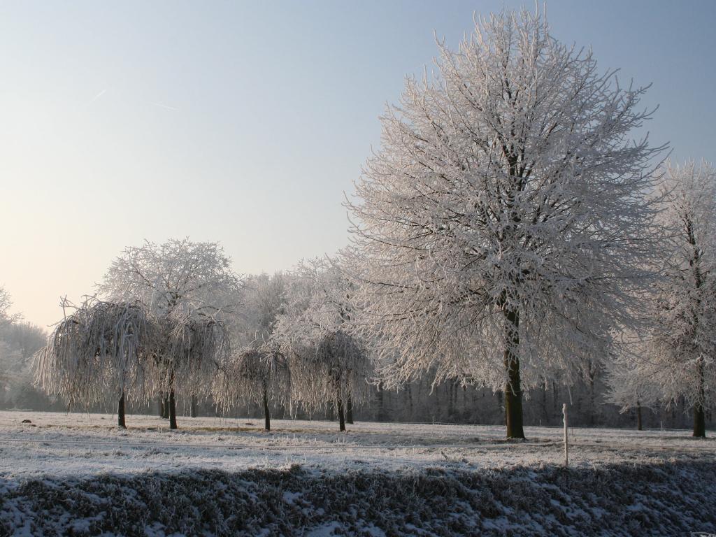 余华这句话说得很锋利：“智慧的女人，不会去扶持男人，否则他成功了，会在另一个女人