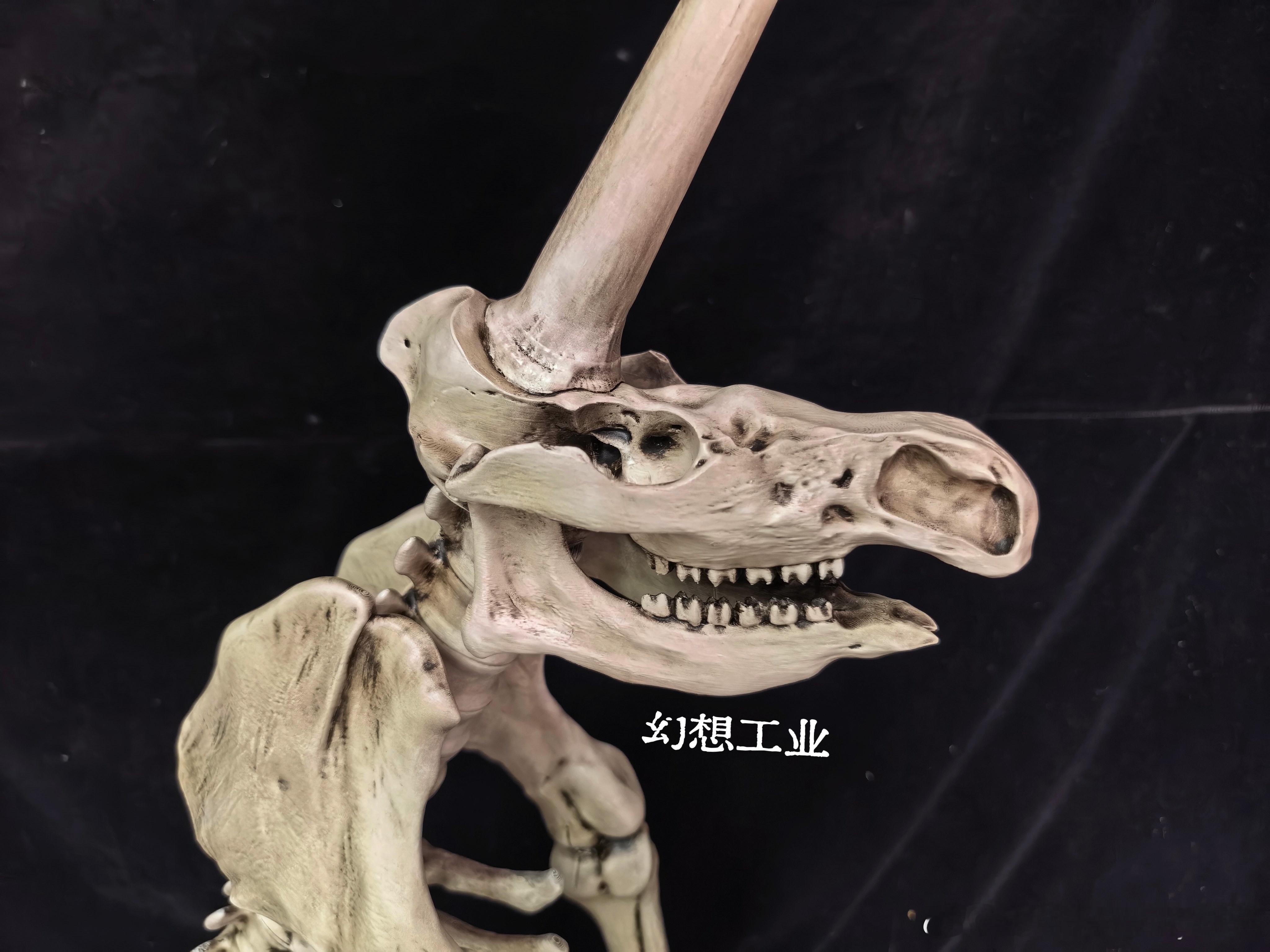 1663年，矿工挖出一批冰河时代混杂的零散骨骼。物理学家奥托·冯·格里克（马德堡半球实验的研究者），