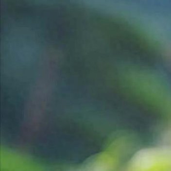 正能量正能量人生的路无需苛求。只要你迈步，路就在你的脚下延伸。只要你扬帆，便会