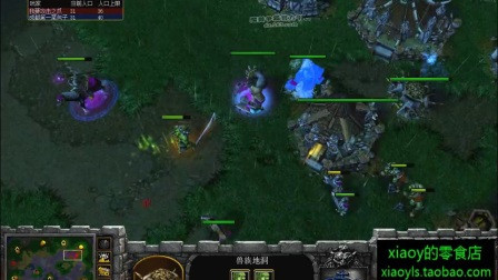 [银冠之同归于尽]Th000 vs Fly[魔兽争霸冰糖解