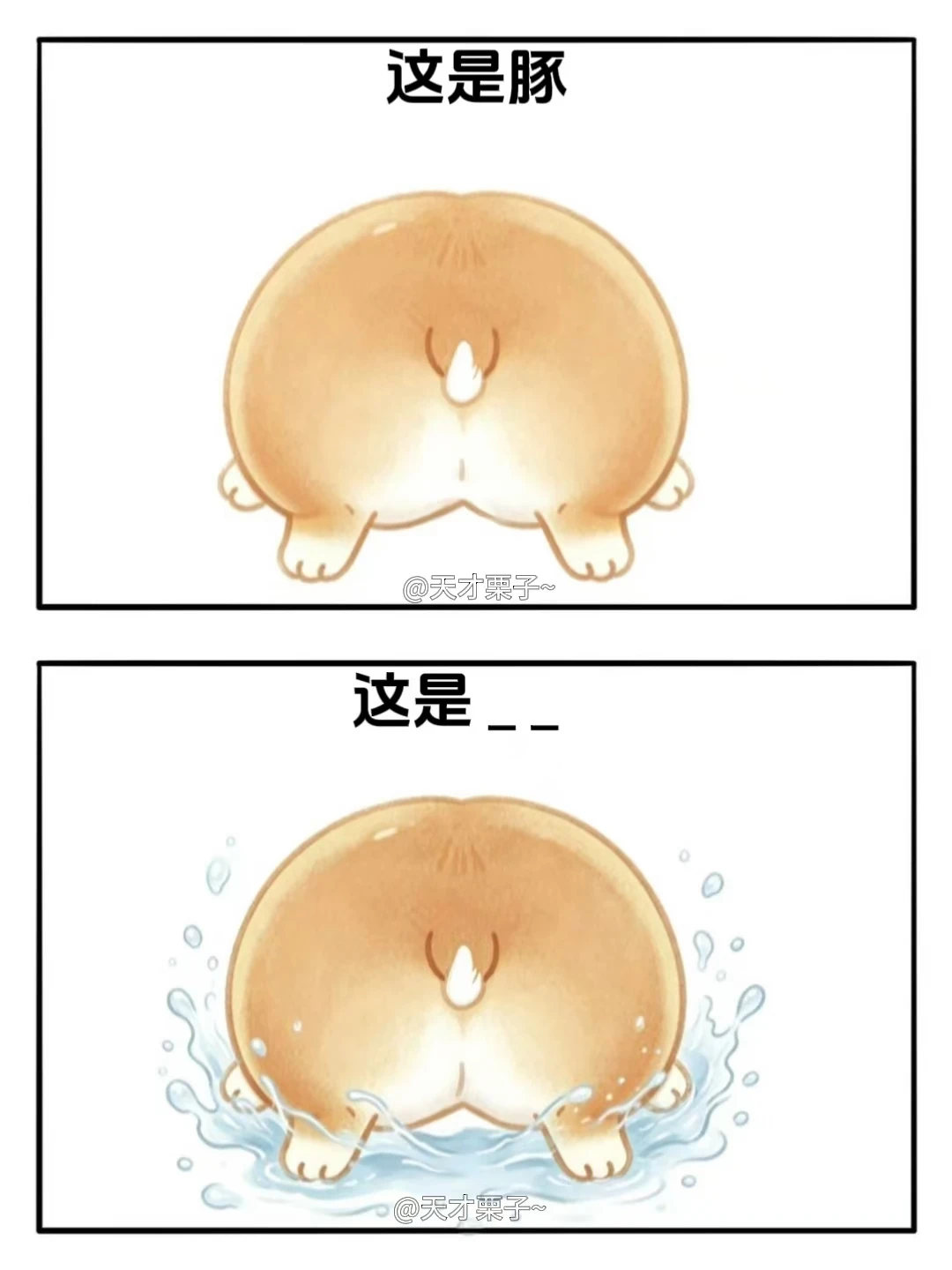抽象谐音梗（动物版）