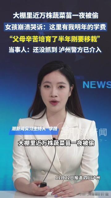 凌晨四点，我拎着水壶去大棚浇苗，刚掀开塑料布，手里的壶“哐当”掉在地上，