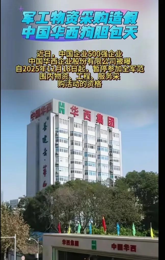 这回算是栽跟头了理由很简单就六个字“提供虚假材料”