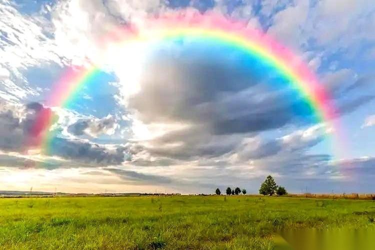 上周四，电话响了，我朋友开门见山：“我清仓了。”就剩手里最后一只，一只捂了两年