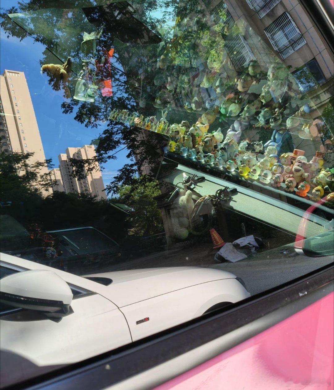 哥们我惊呆了，这要是出车祸全是霰弹枪子弹啊😳​​​