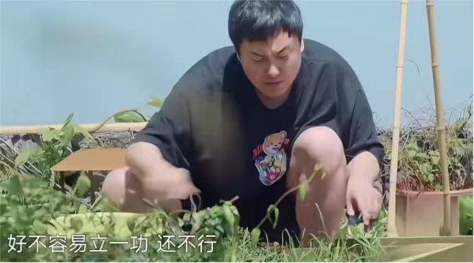 沈腾：“咱几个菜需要韭菜？”黄磊：“你多弄点吧。”沈腾爬楼梯一步一“哎呀