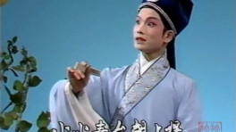 何文秀,私访,陈丽宇