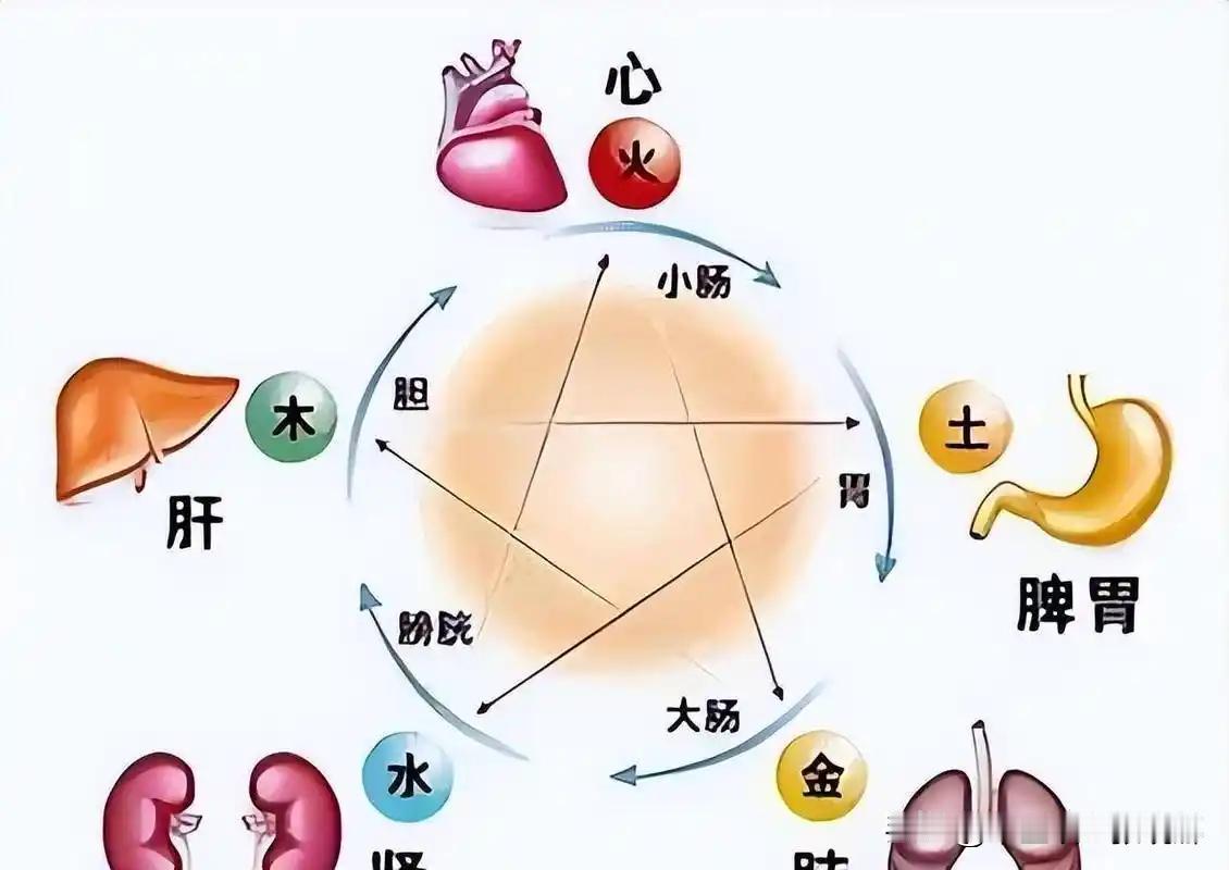 五脏衰退的表现，对照看看，你占了几条一、肾表现：腰膝酸