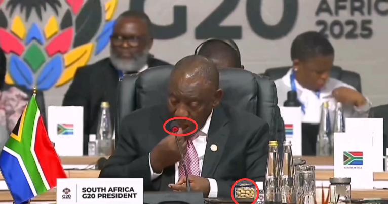 G20最后一天，南非总统在会议上吃坚果，李在明疑似睡着了。11月23日，在G2
