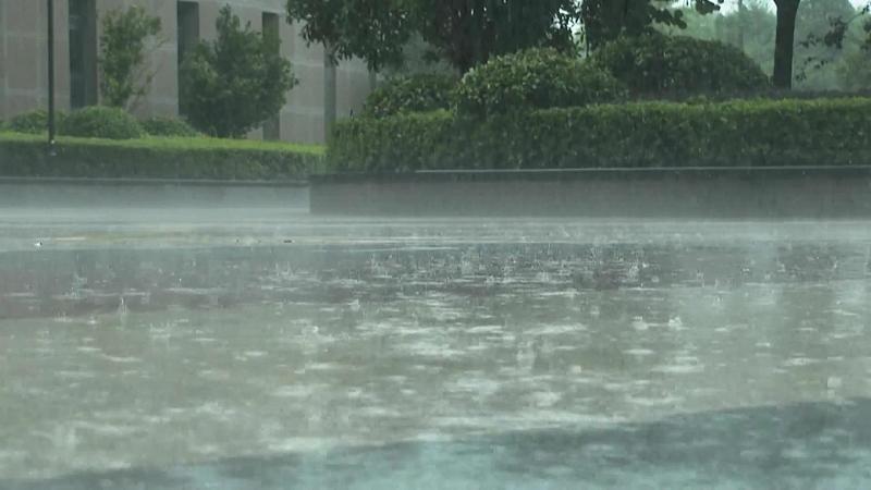 上海大部迎来大暴雨，都是台风“白海豚”闹的。目前上海风雨明显，东北风7级阵风8