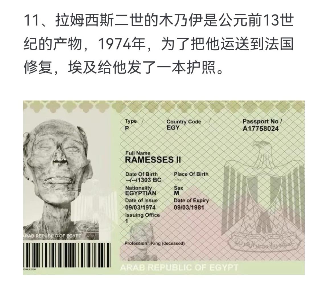 拉姆西斯二世的木乃伊是公元前13世纪的产物，1974年，为了把他运送到...