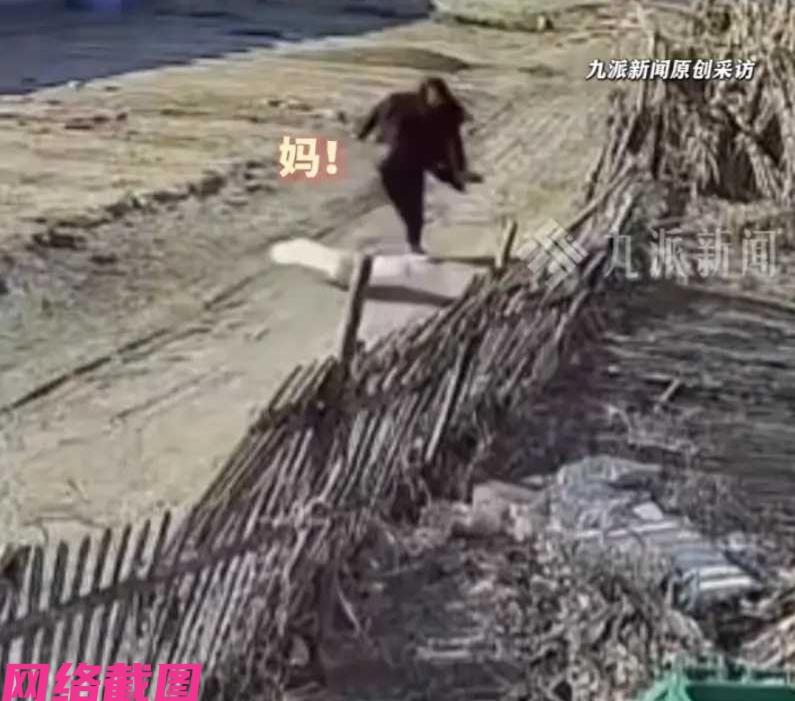 辽宁盘锦有女子家里养了四只大鹅，可这天女子被有些怒气的公鹅，四处追赶，原因简单母