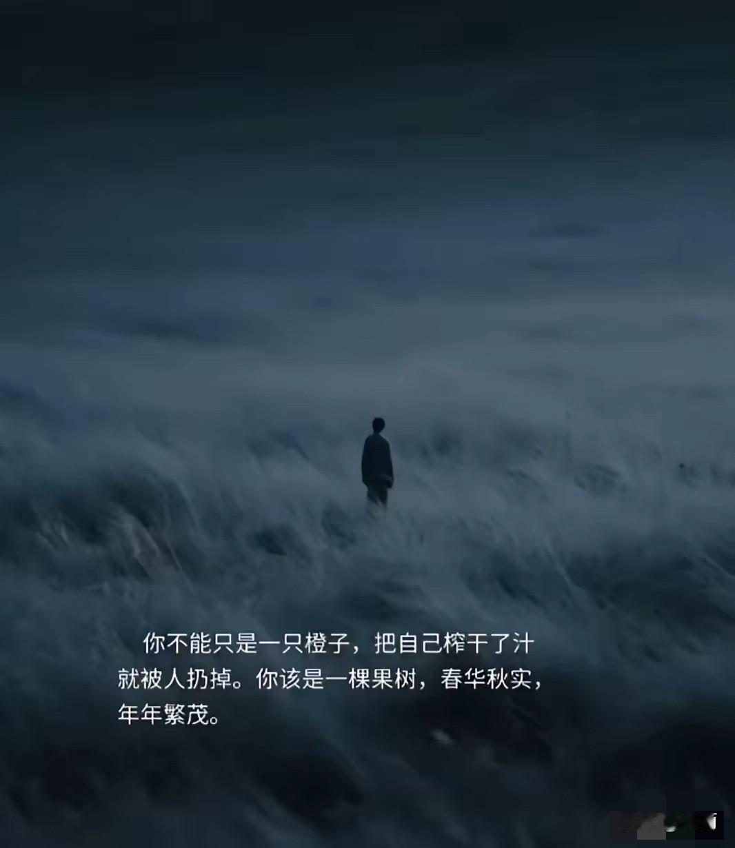 救命。被这句话彻底治愈了。“你不能只是一只橙子，把自己榨干的汁就被人扔掉。你该