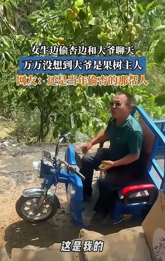 几个女子偷杏被果农抓住的视频火了。事情是这样的，几个女子有说有笑地偷杏，还有