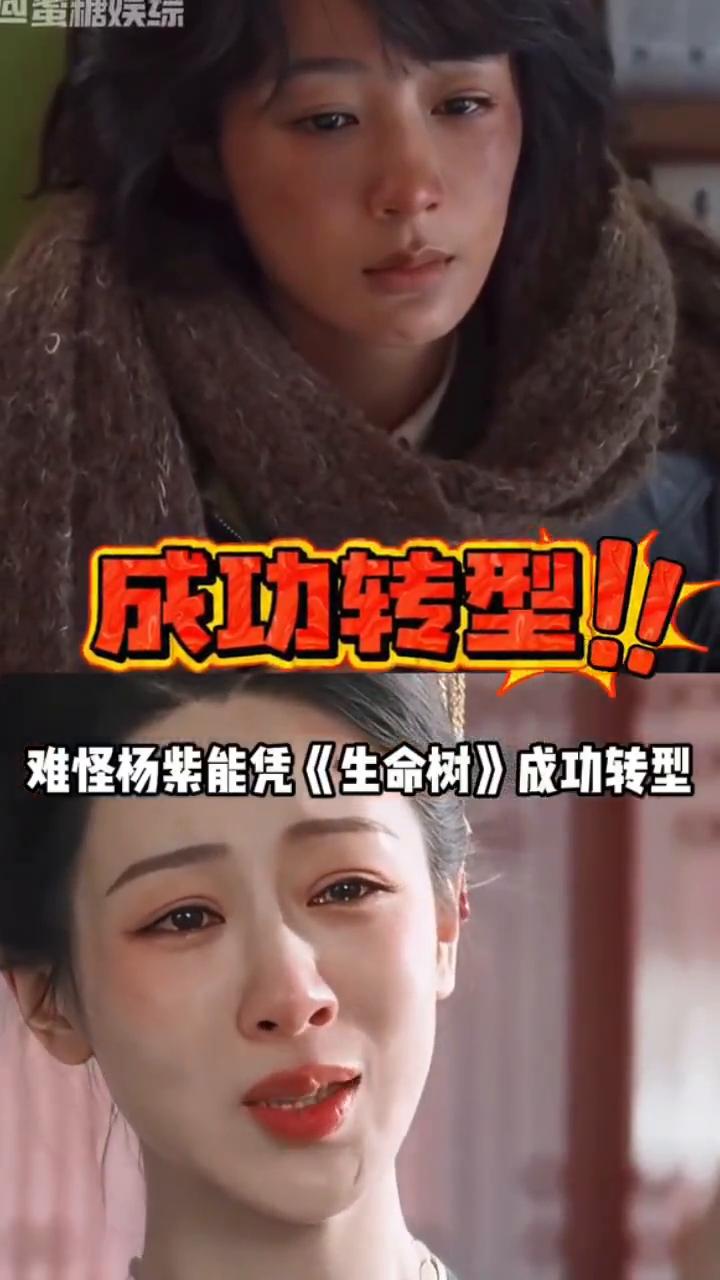 成功转型！杨紫。蜜糖娱综。难怪杨紫能凭《生命树》成功转型。要知道曾经的杨紫被