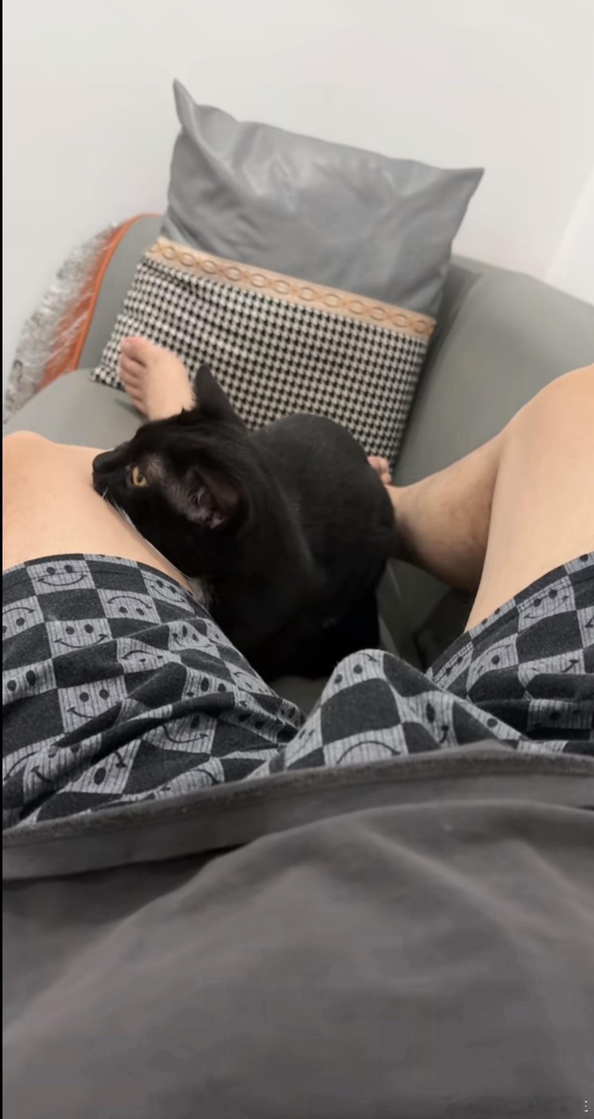 好可爱的小猫咪​​​
