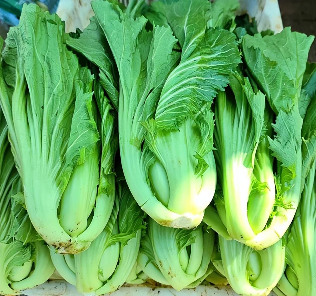 冬天，这“去痰菜”使劲吃！一助眠润肺，二排毒，三健胃，别错过在寒冷的冬季，我