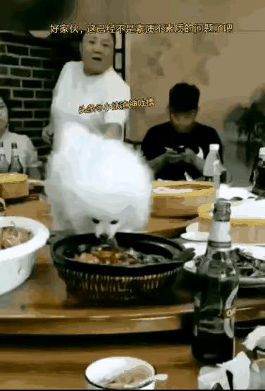 碍着狗子主人的面子，任狗子在饭桌上品尝着每样饭菜，这桌饭菜其他人是吃还是不吃？