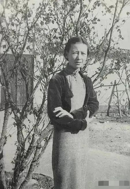 曾有一次，林徽因的儿子梁从诫问她："母亲，若是日本人打过来我们怎么办"？没想到，