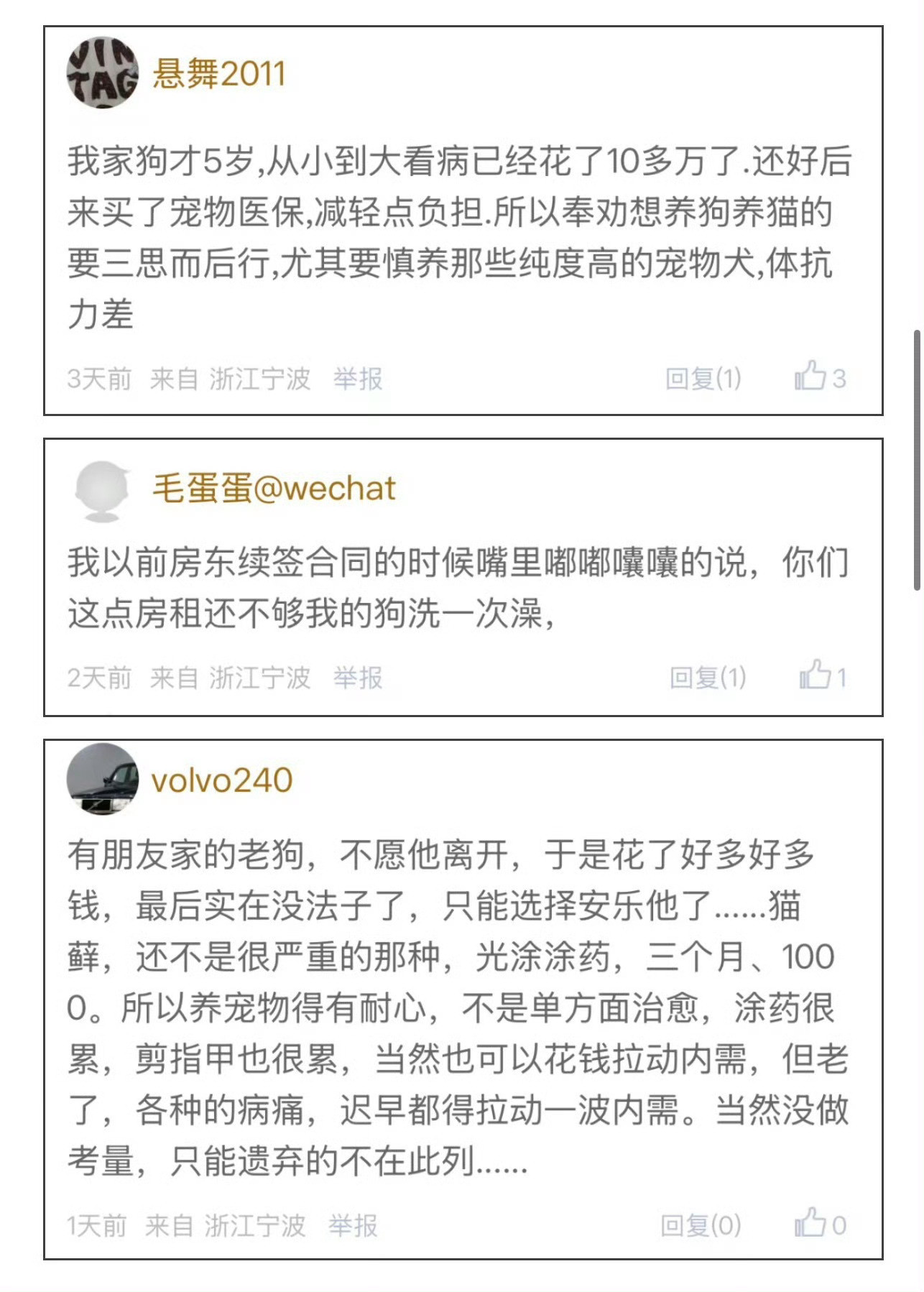 狗狗看病花了10多万宁波网友感叹宠物看病比人贵5岁的狗狗看病花了10多万！宁波