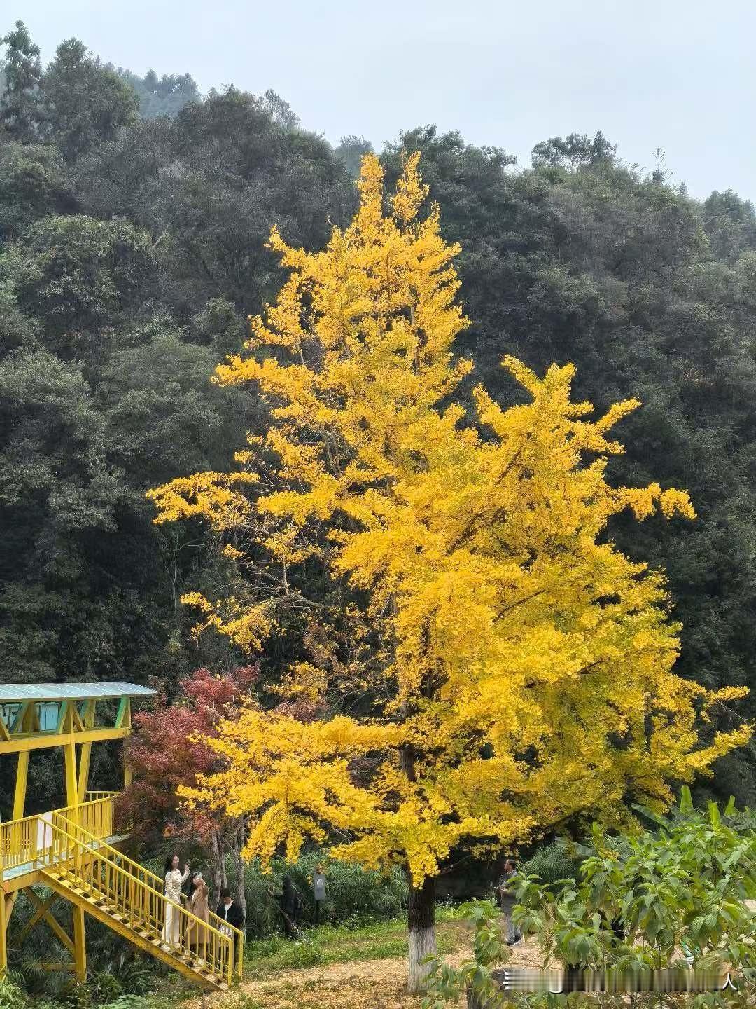 女人过了五十岁，再去找工作，就没有什么选择性了。我退休刚满一个月，闲不住想找点事