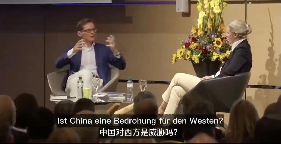 用诚意对待中国，用实力放倒美国！！ 最近德国政坛一位名叫魏德尔的女性政