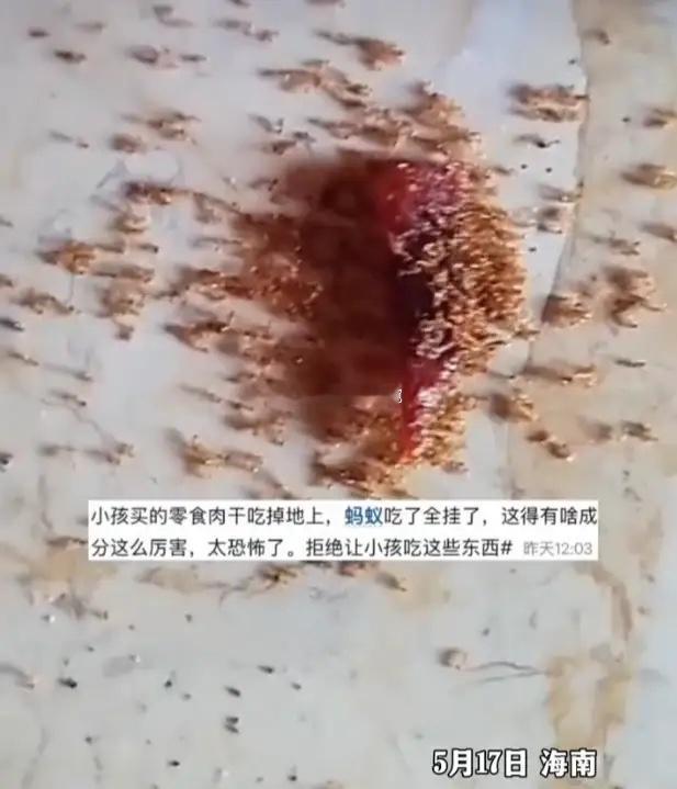 5月17日，海南的一位家长，分享了一段视频。视频里，孩子吃的手撕肉干掉在地