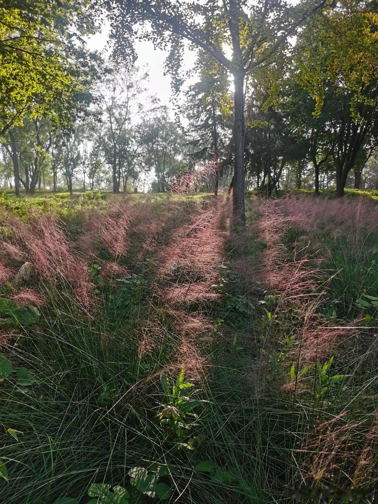同事上个月花28万买的沃尔沃XC60，这下瞬间不香了——只因沃尔沃这次是真开窍了