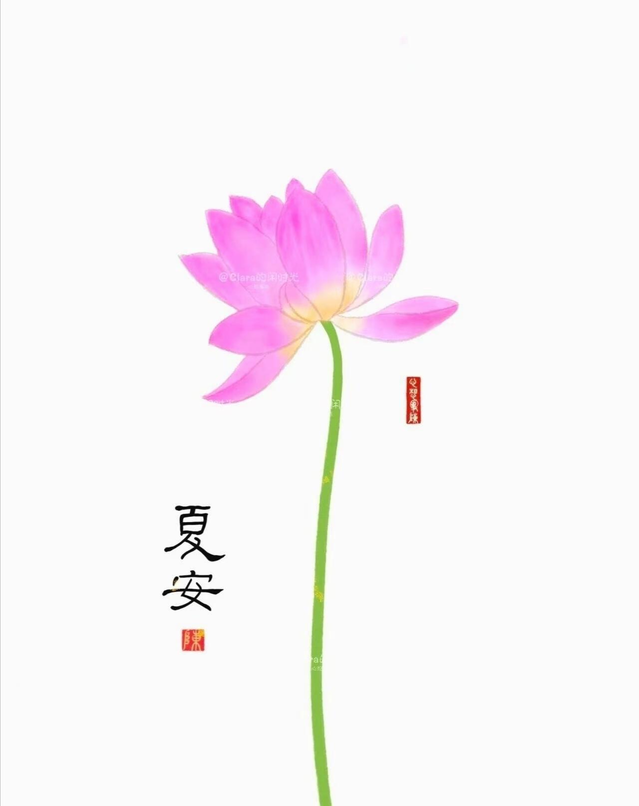 不要叽叽喳喳说个不停金句：1.把生活调成静音模式，是成年人最高级的自保。