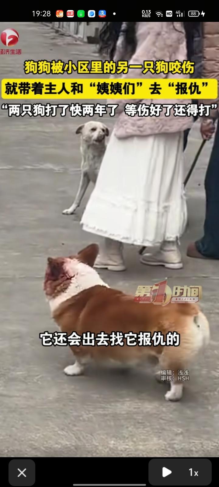 3月9日，江苏常州。女子发视频称，狗子在小区里被小白狗骑着身上咬，几个阿姨既心疼