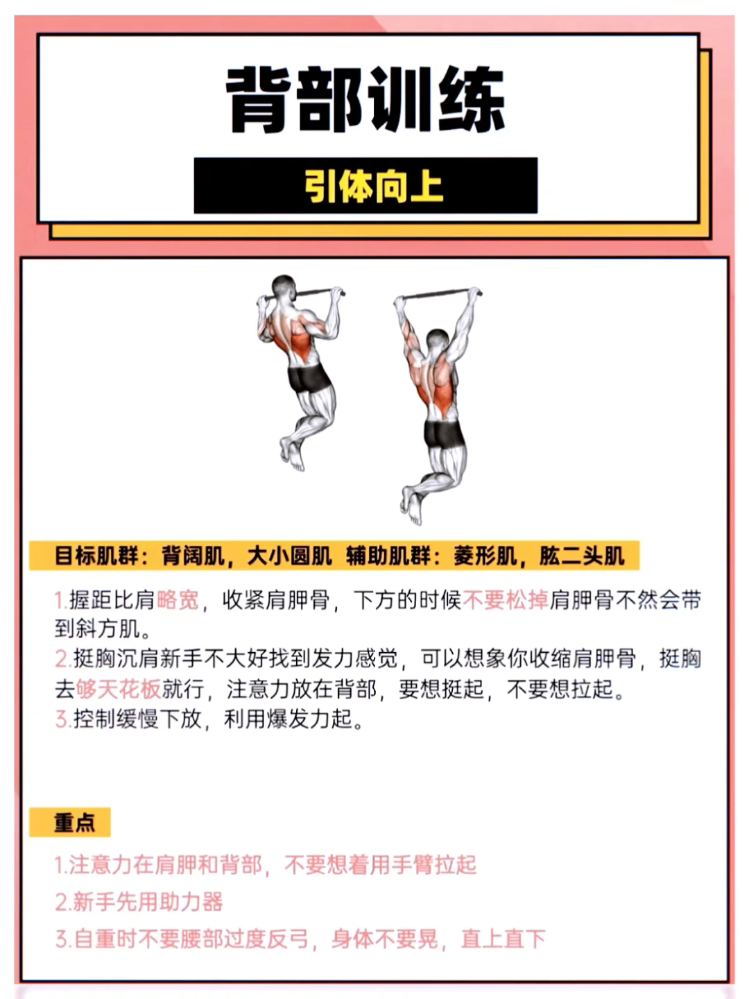 背部肌肉训练动作，你练了吗？