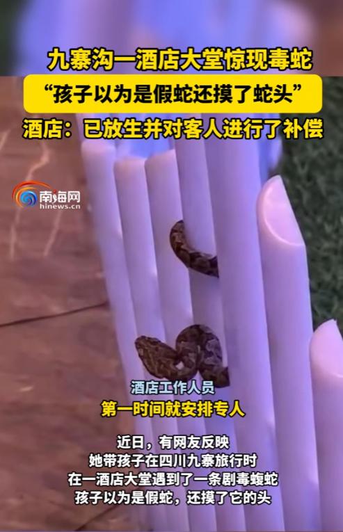 “心真大！”四川，一家三口去九寨沟玩，入住酒店时，孩子瞅见大堂中间有个彩灯城堡，