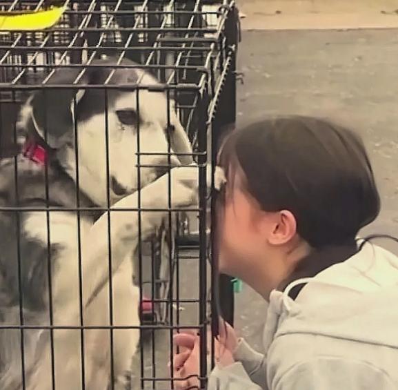 太有缘了！女子在狗市上找到了自己失踪两年的狗狗，女子情绪激动的抓着笼子哭着说“我