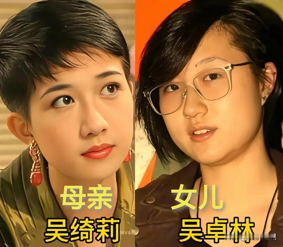 吴绮莉的女儿。利智的女儿。林青霞的女儿。朱茵的女儿。王菲的女儿。这些都