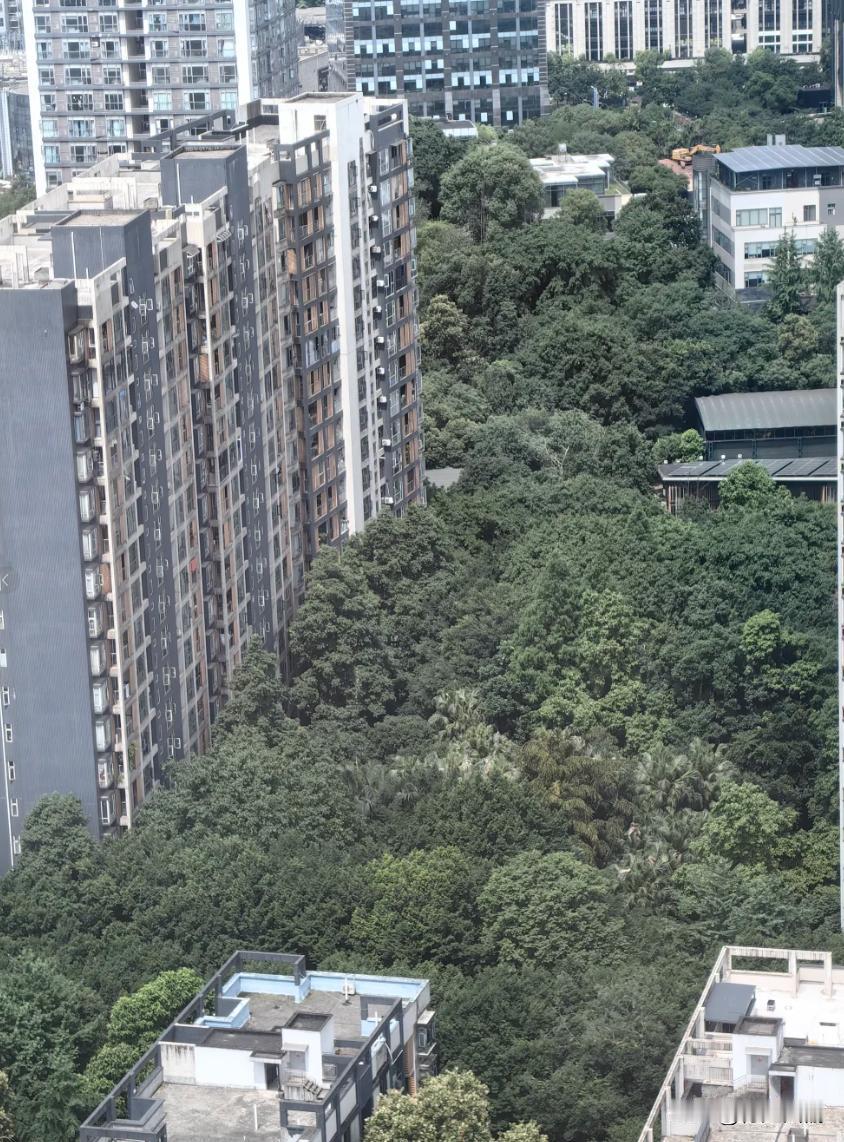 又看到一个外地网友在小红书上夸重庆了……这次不是火锅，也不是夜景，居然是重庆