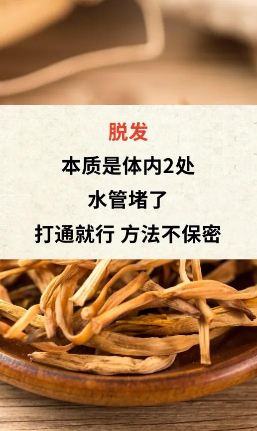 脱发本质是体内2处水管堵了打通就行方法不保密脱发通俗来讲，就像是我们