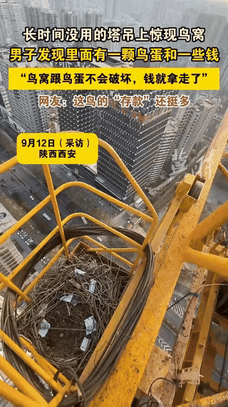 西安塔吊惊现“喜鹊银行”！西安一塔吊司机第一天上班，竟在闲置塔吊的喜鹊窝里发