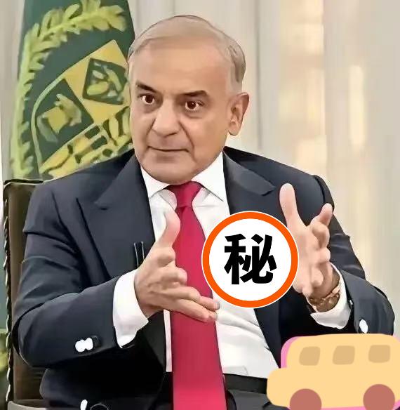 巴基斯坦，刚刚用中国的歼10CE战机，打跑了印度的“阵风”；转过头，就把本国最核