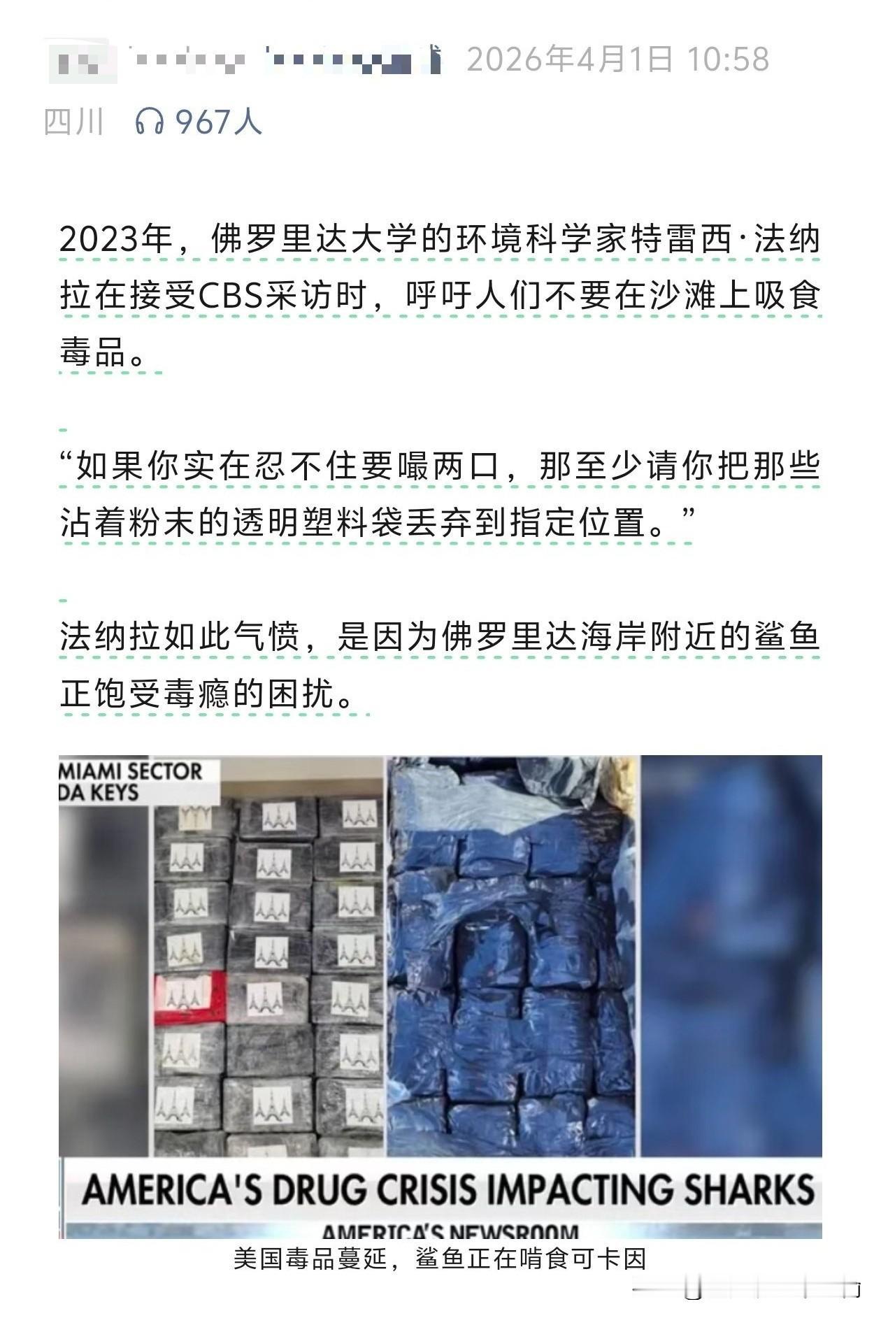 佛罗里达的鲨鱼染上了D瘾，但没人能帮它们戒掉