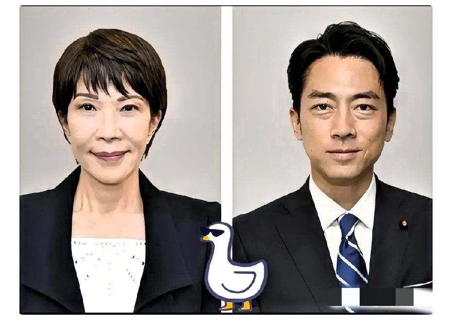 日本内阁资产大公开！防卫相妻子名下坐拥2.7亿日元，高市早苗仅排第十